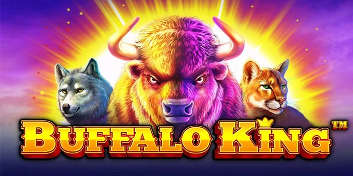 Cara-Mengenali-Pola-Bagus-di-Buffalo-King